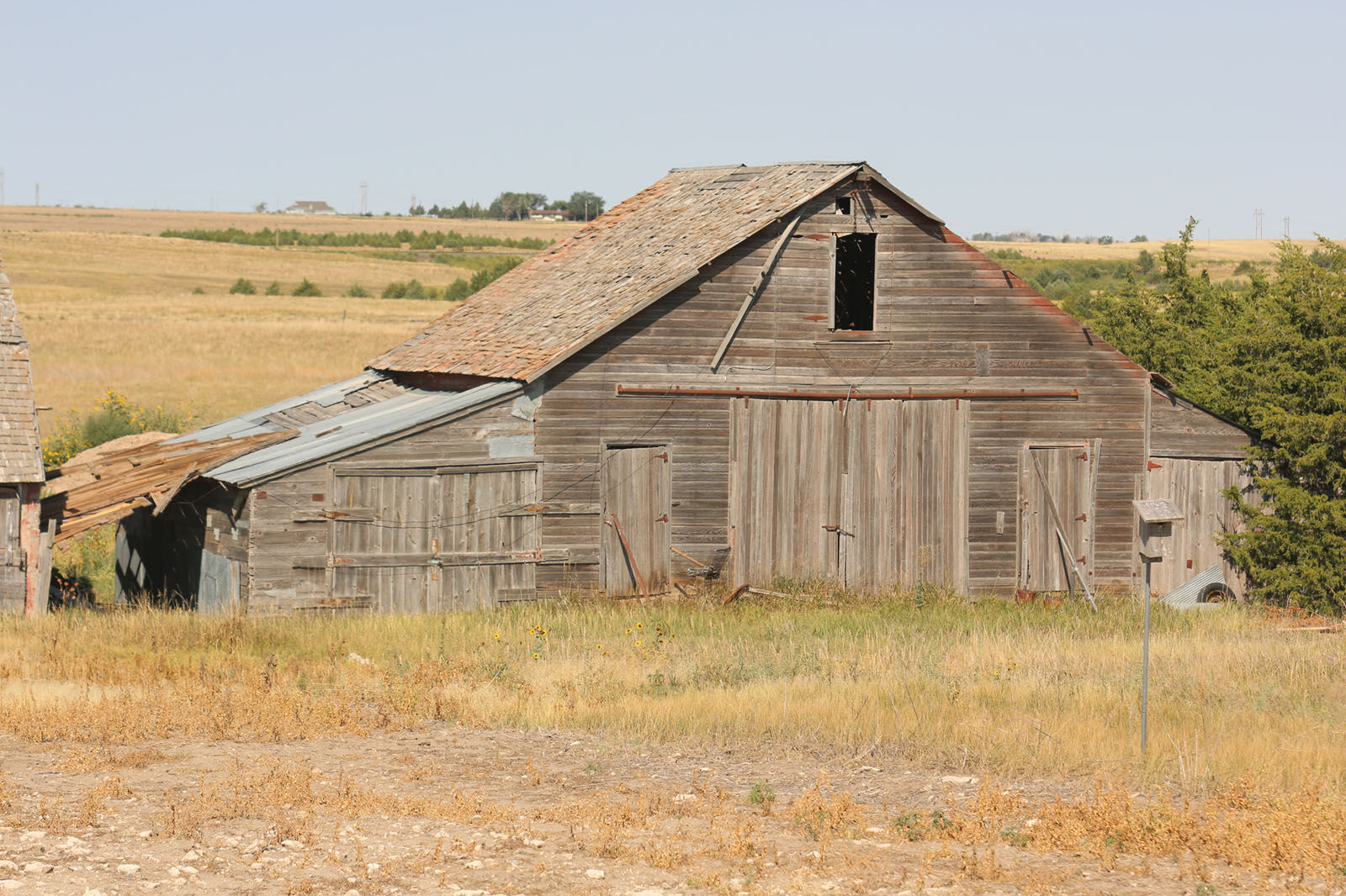 Barns 083120 (9)Barns.jpg